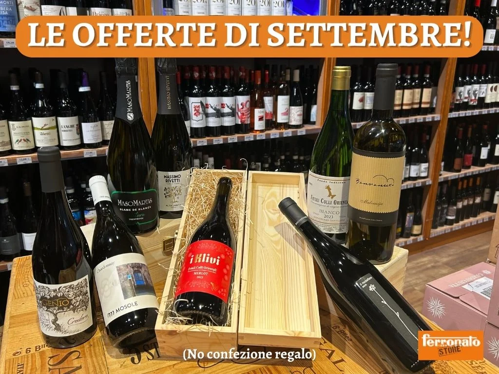 FOTO DI GRUPPO.webp